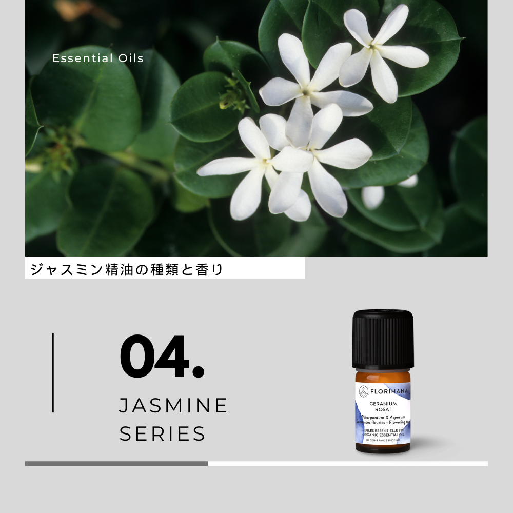 【アロマメモ】ジャスミンの種類と香り
