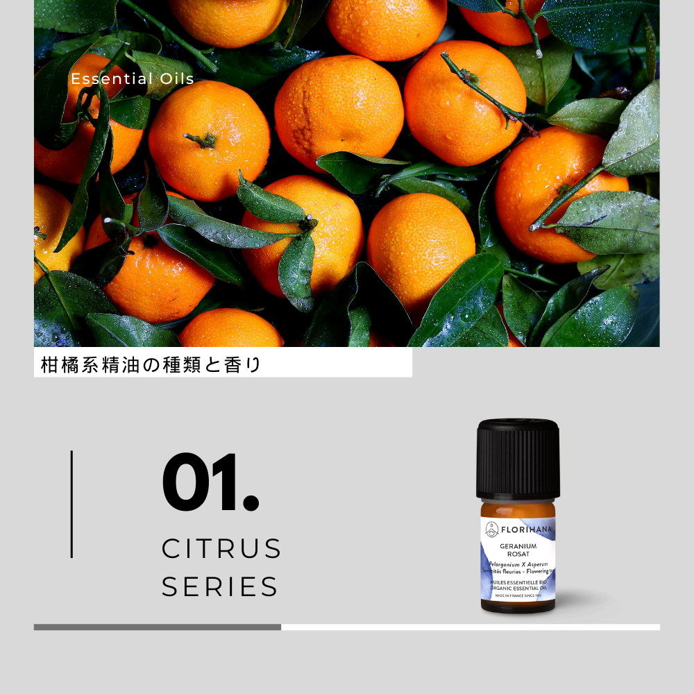 【アロマメモ】柑橘系精油の種類と香り
